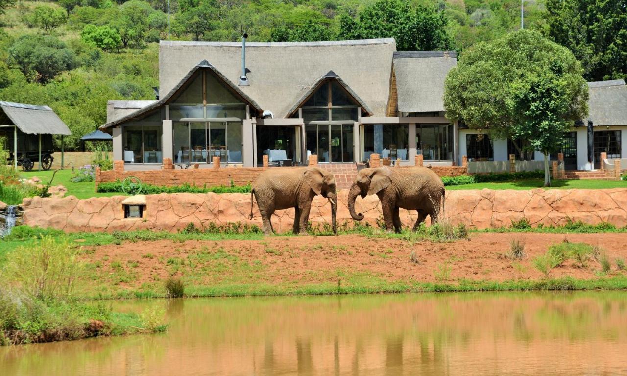 African Hills Safari Lodge & Spa Magaliesburg Exteriör bild