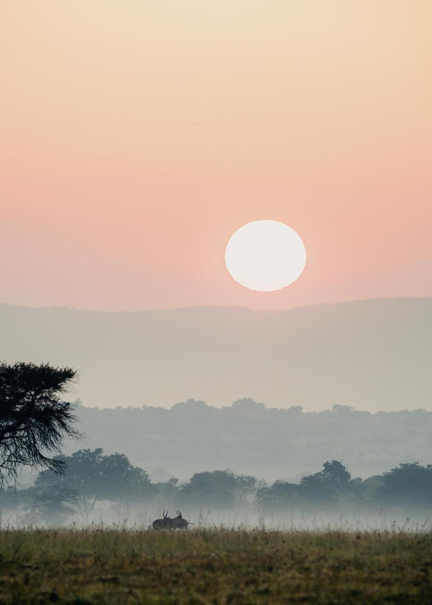 African Hills Safari Lodge & Spa Magaliesburg Exteriör bild