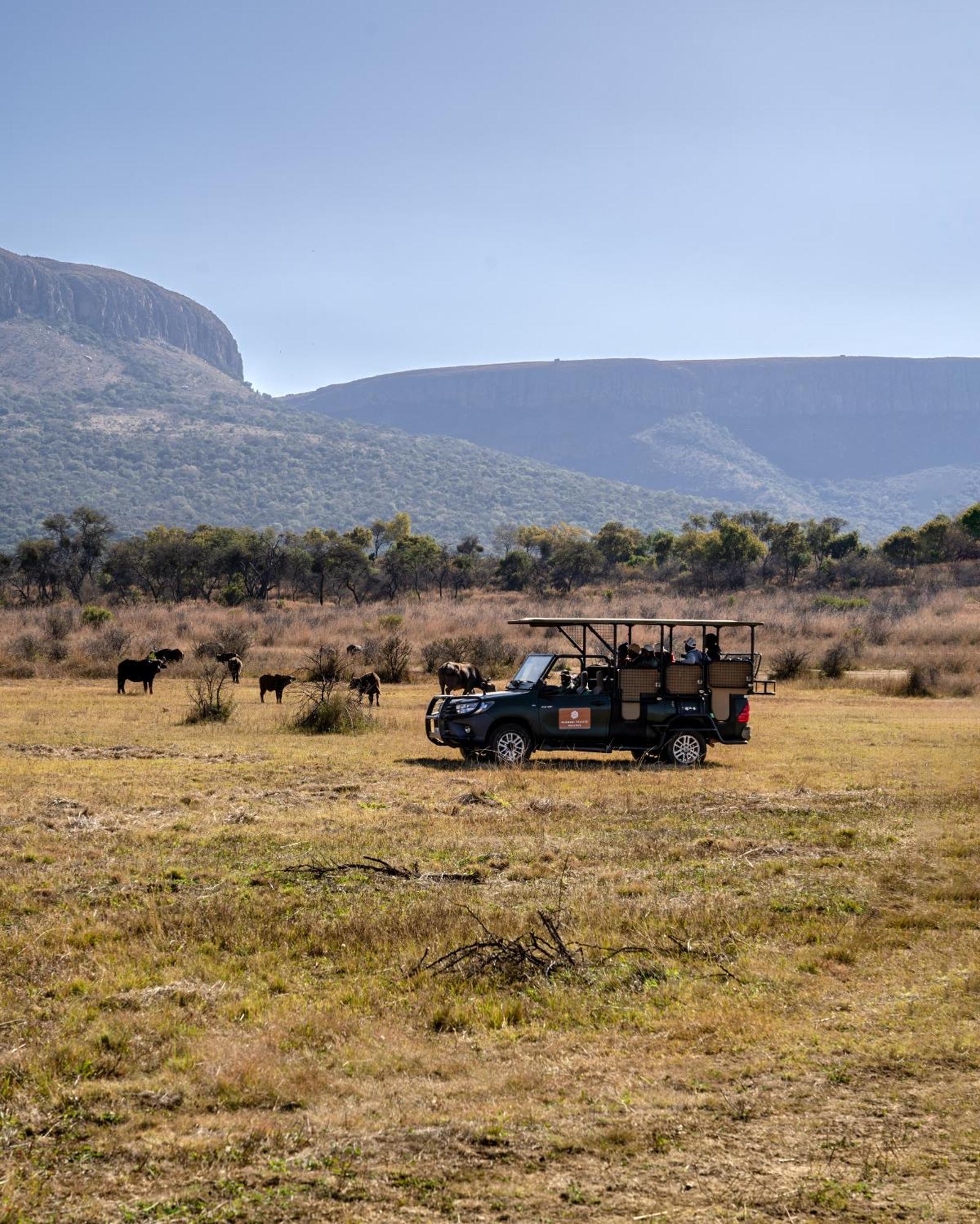 African Hills Safari Lodge & Spa Magaliesburg Exteriör bild