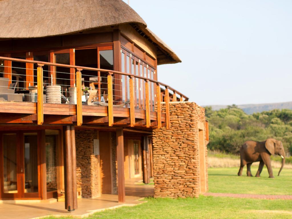 African Hills Safari Lodge & Spa Magaliesburg Exteriör bild